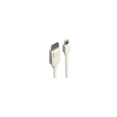 Câble adaptateur Mini DP (DisplayPort) vers DisplayPort, 1m
