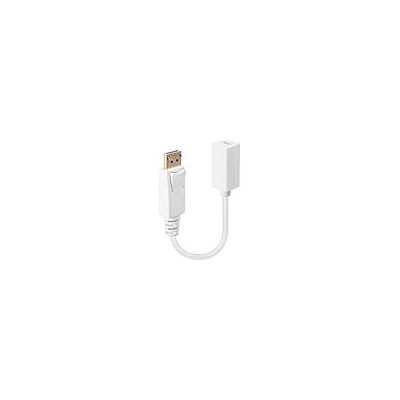 Câble adaptateur DP (DisplayPort) vers Mini DisplayPort femelle