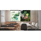 Vidéoprojecteur OPTOMA ZW340e - WXGA (1280 x 800) - 3600 Lumens - Laser